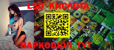 стаф Новодвинск