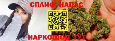 стаф Новодвинск