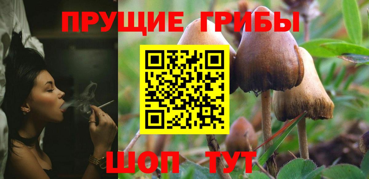 Псилоцибиновые грибы Magic Shrooms Усинск