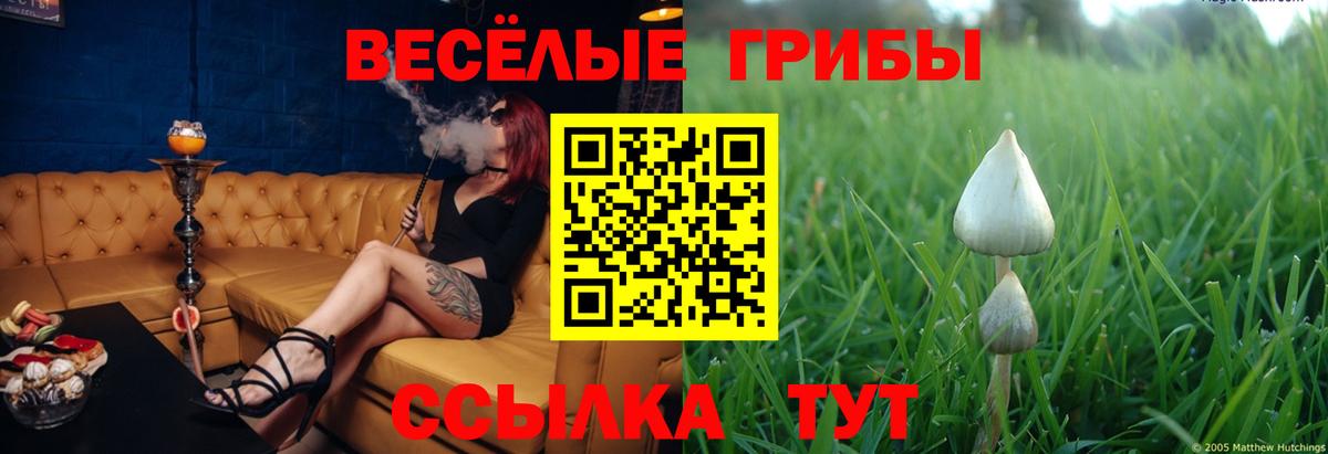 Усинск  где продают наркотики  Вход с VPN  Галлюциногенные грибы GOLDEN TEACHER 
